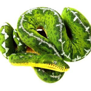 Amazon Basin Emerald Tree Boa